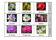 Leporello-Pflanzen-A-Z-1-Seite-2.pdf